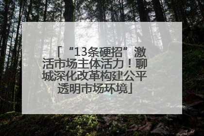 “13条硬招”激活市场主体活力！聊城深化改革构建公平透明市场环境