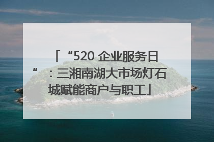 “520 企业服务日”：三湘南湖大市场灯石城赋能商户与职工