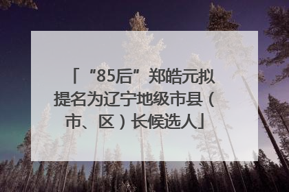 “85后”郑皓元拟提名为辽宁地级市县（市、区）长候选人
