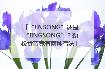 “JINSONG”还是“JINGSONG”？劲松拼音竟有两种写法