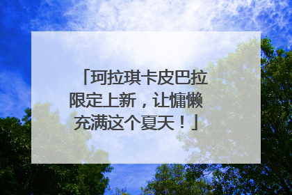 珂拉琪卡皮巴拉限定上新，让慵懒充满这个夏天！