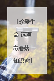 珍爱生命 远离毒蘑菇｜知识窗