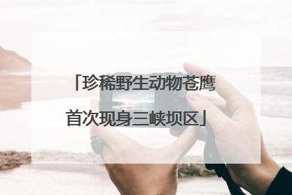 珍稀野生动物苍鹰首次现身三峡坝区