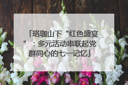 珞珈山下“红色盛宴”：多元活动串联起党群同心的七一记忆