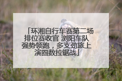 环湘自行车赛第二场排位赛收官 浏阳车队强势领跑，多支劲旅上演圈数拉锯战