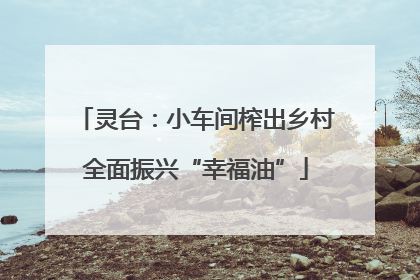 灵台：小车间榨出乡村全面振兴“幸福油”