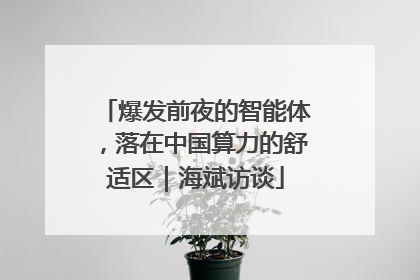 爆发前夜的智能体，落在中国算力的舒适区｜海斌访谈