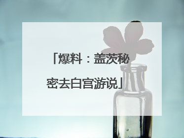 爆料：盖茨秘密去白宫游说
