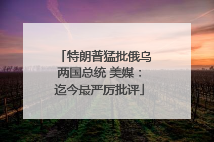 特朗普猛批俄乌两国总统 美媒：迄今最严厉批评