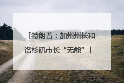 特朗普：加州州长和洛杉矶市长“无能”