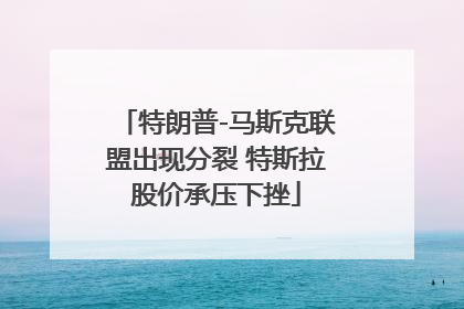 特朗普-马斯克联盟出现分裂 特斯拉股价承压下挫