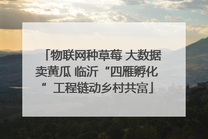 物联网种草莓 大数据卖黄瓜 临沂“四雁孵化”工程链动乡村共富