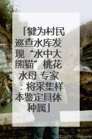 犍为村民巡查水库发现“水中大熊猫”桃花水母 专家：将采集样本鉴定具体种属