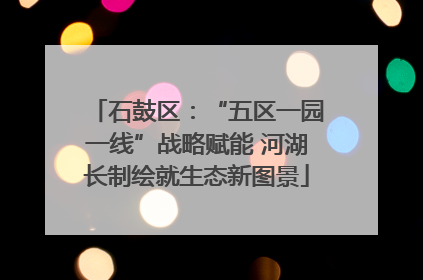 石鼓区：“五区一园一线”战略赋能 河湖长制绘就生态新图景