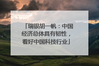 瑞银胡一帆：中国经济总体具有韧性，看好中国科技行业