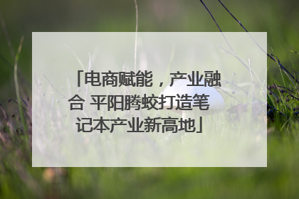 电商赋能，产业融合 平阳腾蛟打造笔记本产业新高地