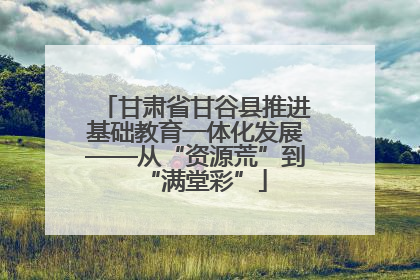 甘肃省甘谷县推进基础教育一体化发展——从“资源荒”到“满堂彩”
