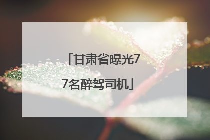 甘肃省曝光77名醉驾司机