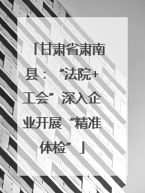 甘肃省肃南县：“法院+工会”深入企业开展“精准体检”