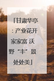 甘肃华亭：产业花开家家富 沃野“丰”景处处美