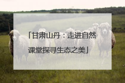 甘肃山丹：走进自然课堂探寻生态之美
