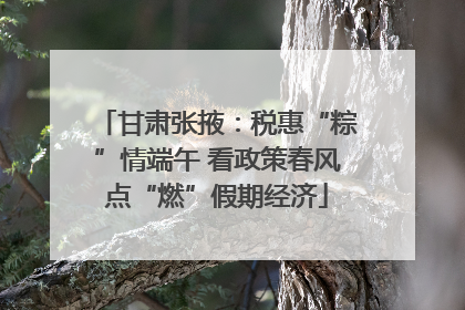 甘肃张掖：税惠“粽”情端午 看政策春风点“燃”假期经济