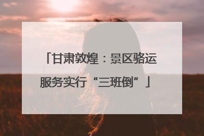 甘肃敦煌：景区骆运服务实行“三班倒”