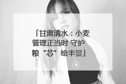 甘肃清水：小麦管理正当时 守护粮“芯”绘丰景