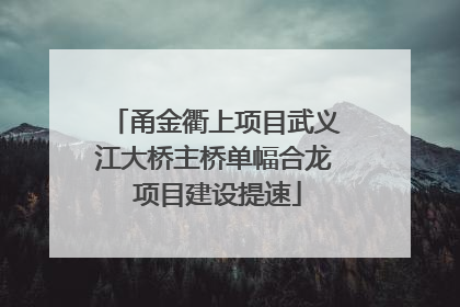 甬金衢上项目武义江大桥主桥单幅合龙 项目建设提速