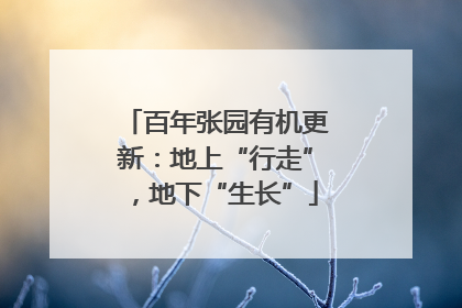 百年张园有机更新：地上“行走”，地下“生长”