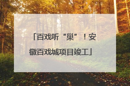 百戏听“巢”！安徽百戏城项目竣工