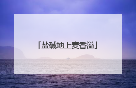 盐碱地上麦香溢