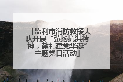 监利市消防救援大队开展“弘扬抗洪精神，献礼建党华诞”主题党日活动