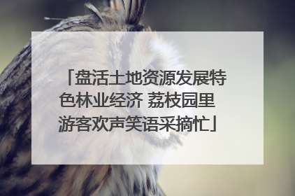 盘活土地资源发展特色林业经济 荔枝园里游客欢声笑语采摘忙