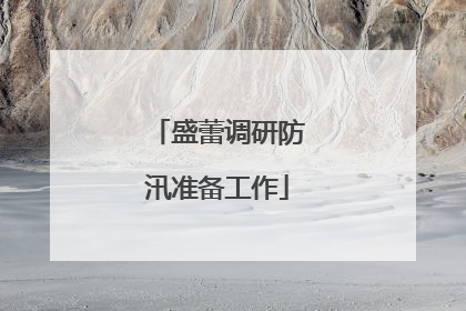 盛蕾调研防汛准备工作