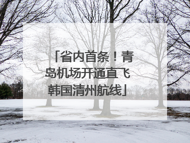 省内首条！青岛机场开通直飞韩国清州航线