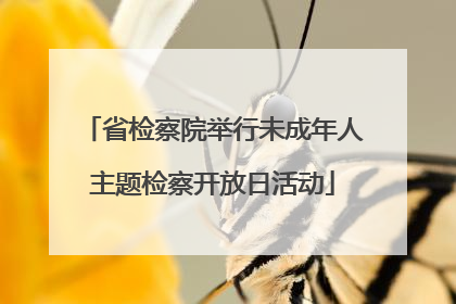 省检察院举行未成年人主题检察开放日活动