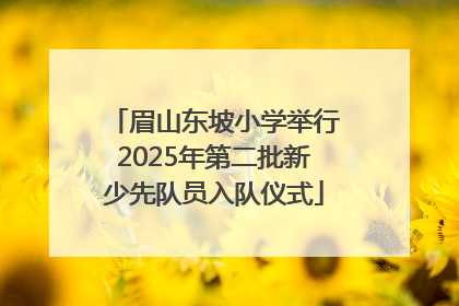 眉山东坡小学举行2025年第二批新少先队员入队仪式