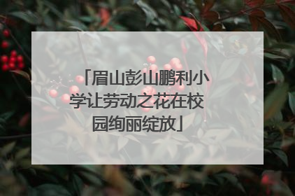 眉山彭山鹏利小学让劳动之花在校园绚丽绽放