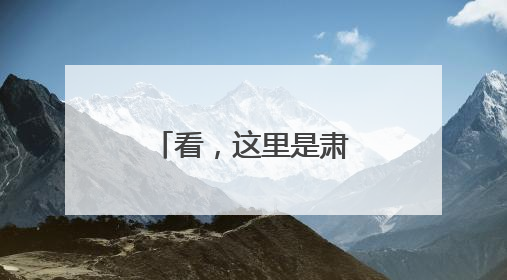 看，这里是肃北｜斑头雁宝宝出窝觅食