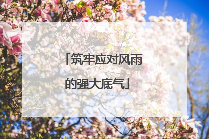 筑牢应对风雨的强大底气