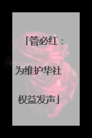 管必红：为维护华社权益发声