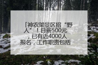 神农架景区招“野人”！日薪500元，已有近4000人报名，工作职责包括“接受游客投喂”
