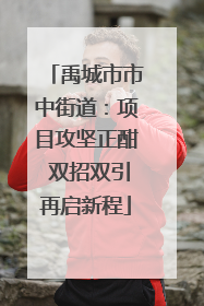 禹城市市中街道：项目攻坚正酣 双招双引再启新程