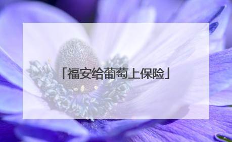 福安给葡萄上保险