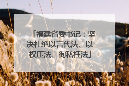 福建省委书记：坚决杜绝以言代法、以权压法、徇私枉法