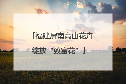 福建屏南高山花卉绽放“致富花”