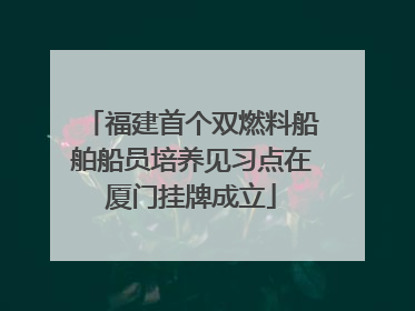 福建首个双燃料船舶船员培养见习点在厦门挂牌成立