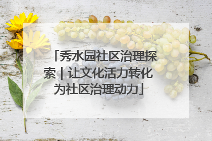 秀水园社区治理探索｜让文化活力转化为社区治理动力