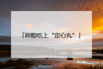 种粮吃上“定心丸”